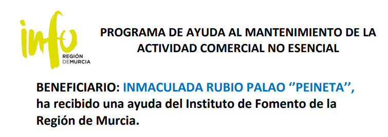 Programa de ayuda al mantenimiento de la actividad comercial no esencial, Instituto de Fomento de la Región de Murcia